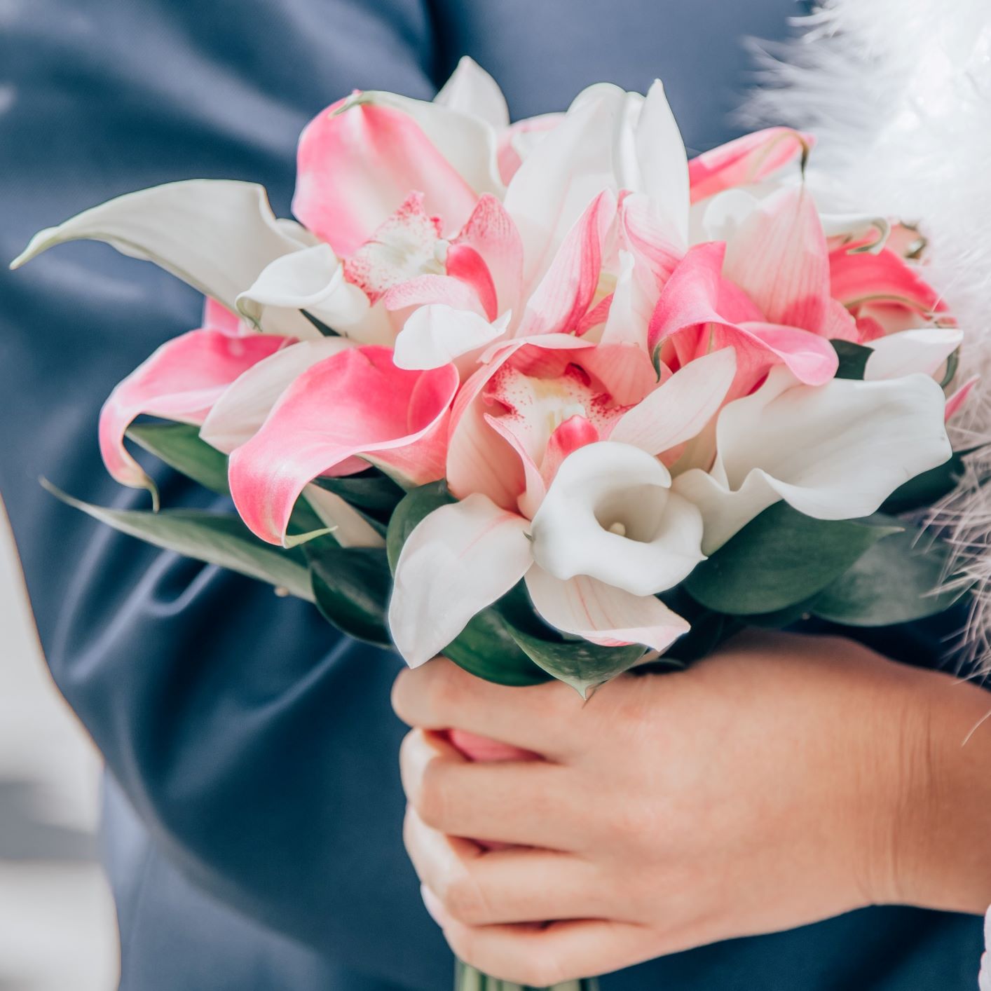Calla - Pastel Collection
