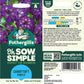 Candytuft Purple Seed