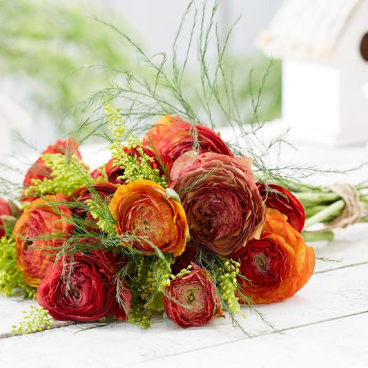 Aviv Picotee Cafe  Ranunculus  Corms Bulbs Growing Bonsai Roots Rhizomes Tubers Potted Planting Reblooming Fragrant Garden Species Blooms Flower Seeds Plant Gardening