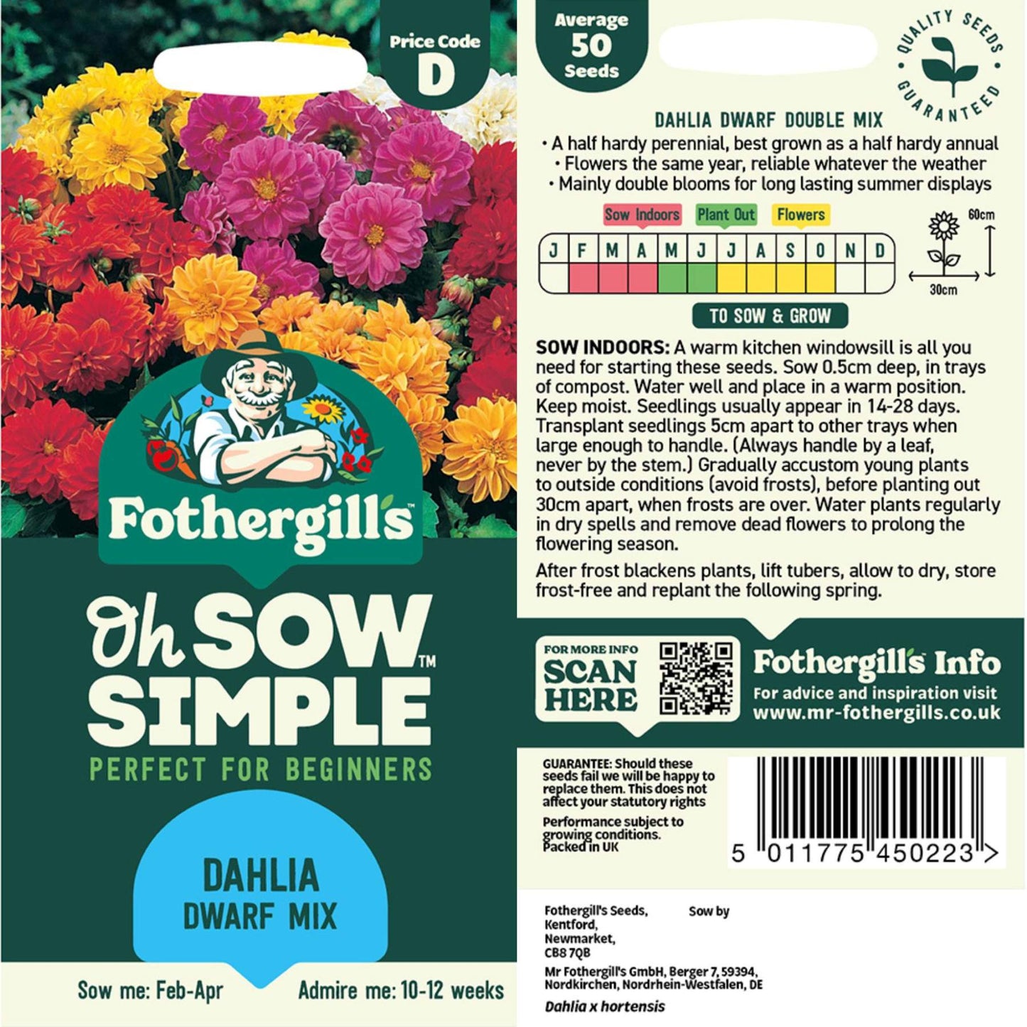Dahlia Dwarf Mix Seed