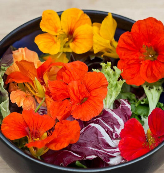 Salad Blend