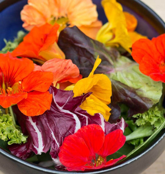 Salad Blend