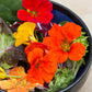 Salad Blend