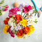 Freesia - Doubles Mix