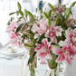 Lilium - Oriental Roselily Isabella