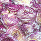 Bianco Striato Ranunculus Corms Bulbs Growing Bonsai Roots Rhizomes Tubers Potted Planting Reblooming Fragrant Garden Species Blooms Flower Seeds Plant Gardening