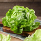 Lettuce Butterhead Seed