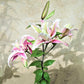 Lilium - Oriental Lily Distant Drum (Double)