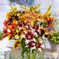 Lilium - Ready to Tango Collection