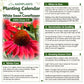 Red Coneflower Seeds - Vibrant Hardy Perennial Pollinator Flower