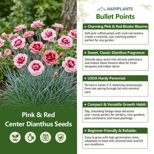 Pink & Red Center Dianthus Seeds