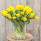 Tulip Bulbs Strong Gold Blooms Species Growing Bonsai Roots Rhizomes Corms Tubers Potted Planting Reblooming Fragrant Garden Flower Seeds Plant