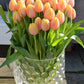 Tulip Bulbs Mango Charmu Blooms Species Growing Bonsai Roots Rhizomes Corms Tubers Potted Planting Reblooming Fragrant Garden Flower Seeds Plant
