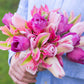 Tulip Bulbs Rosalie Blooms Species Growing Bonsai Roots Rhizomes Corms Tubers Potted Planting Reblooming Fragrant Garden Flower Seeds Plant