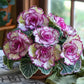 Rare Twin Begonia Seeds