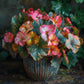 Four-leaf Begonia Seeds