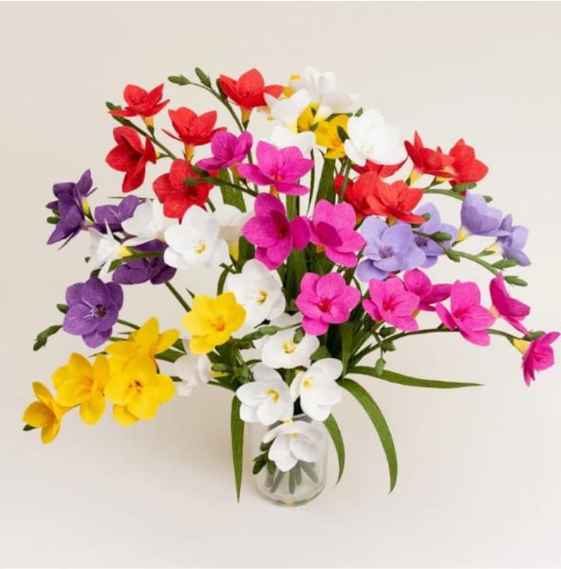 Cheap Freesia Bulbs Growing Bonsai Roots Rhizomes Corms Tubers Potted Planting Reblooming Fragrant Garden Species Blooms Flower Seeds Plant Gardening