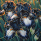 Silver Shimmer-Rare Iris Seeds ⚜️