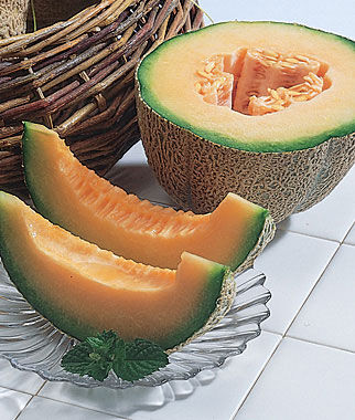 Cantaloupe Burpees Hybrid