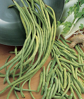 Bean Asparagus Yardlong