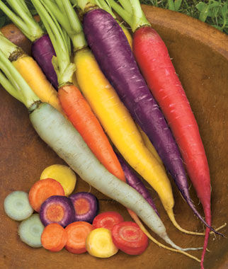 Carrot Kaleidoscope Blend