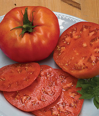 Tomato Beefsteak Organic