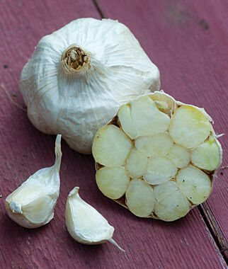 Garlic Italian Loiacono