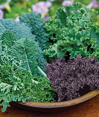 Kale Blend