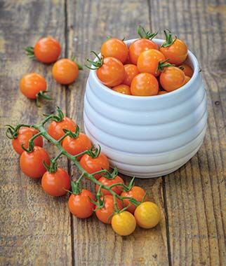 Tomato Honeycomb Hybrid