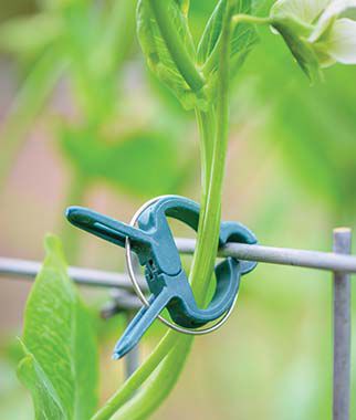 Burpee Plant Clips