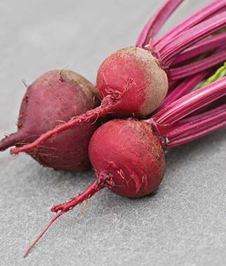 Beet Detroits Best Hybrid