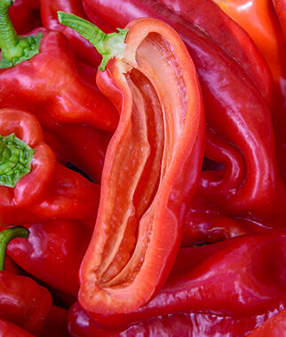 Pepper Sweet PeppiGrande Red Hybrid