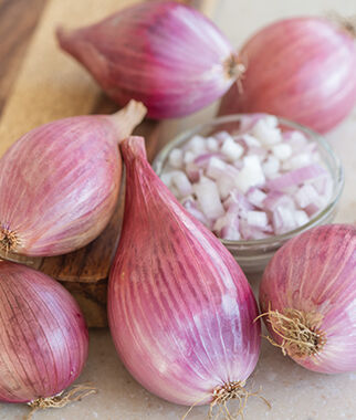 Shallots Davidor
