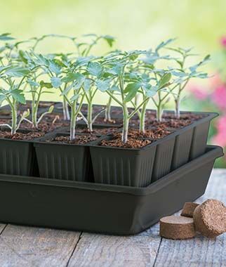 16 Cell Self-Watering Ultimate Grow System
