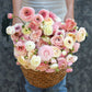 Porcelaine Ranunculus  Corms Bulbs Growing Bonsai Roots Rhizomes Tubers Potted Planting Reblooming Fragrant Garden Species Blooms Flower Seeds Plant Gardening