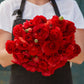 Ranunculus Bulbs Red Corms Growing Bonsai Roots Rhizomes Tubers Potted Planting Reblooming Fragrant Garden Species Blooms Flower Seeds Plant Gardening