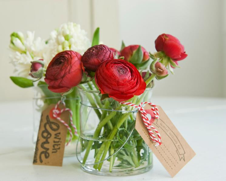 Red Ranunculus Corms Bulbs Persian Buttercup Growing Bonsai Roots Rhizomes Tubers Potted Planting Reblooming Fragrant Garden Species Blooms Flower Seeds Plant Gardening