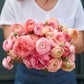 Romantic Mix Ranunculus Corms Bulbs Persian Buttercup Growing Bonsai Roots Rhizomes Tubers Potted Planting Reblooming Fragrant Garden Species Blooms Flower Seeds Plant Gardening