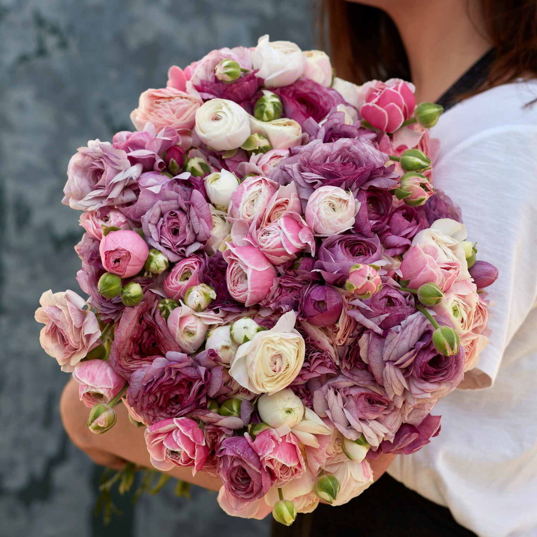 Secret Garden Mix Ranunculus Corms Bulbs Persian Buttercup Growing Bonsai Roots Rhizomes Tubers Potted Planting Reblooming Fragrant Garden Species Blooms Flower Seeds Plant Gardening