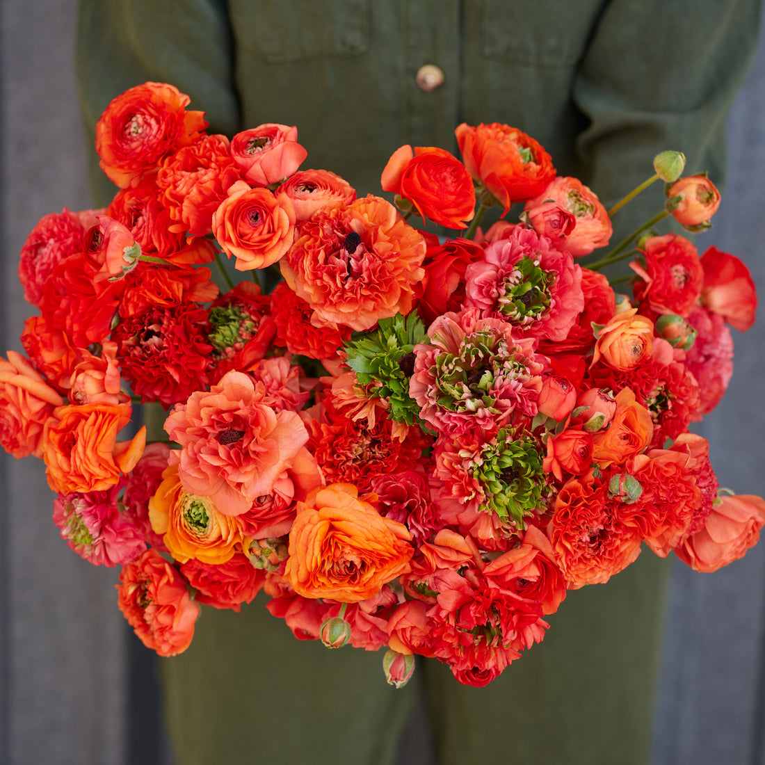 Super Green Orange Ranunculus  Corms Bulbs Growing Bonsai Roots Rhizomes Tubers Potted Planting Reblooming Fragrant Garden Species Blooms Flower Seeds Plant Gardening